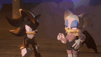 sonic the hedgehog and shadow the hedgehog are fighting each other with swords