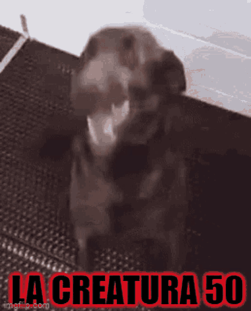 a picture of a dog with the words la creature 50 in red