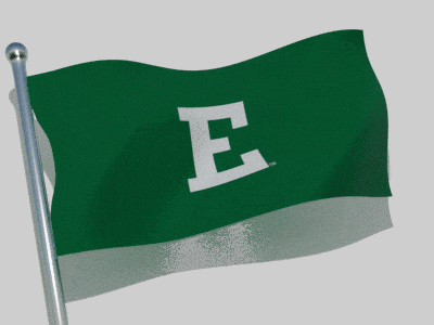 a green flag with the letter e on it is waving in the wind