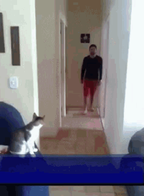 a man walking down a hallway with a cat sitting on a couch in the foreground