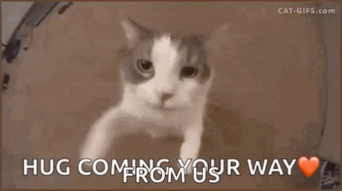 a cat is peeking out of a box with the words hug coming from your way written above it .