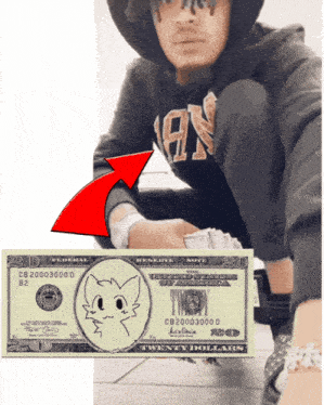 a 20 dollar bill with a cat on it