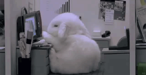 Sleepy Cubicle Bunny GIF - GIFs