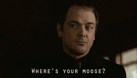 a man is asking where 's your moose .