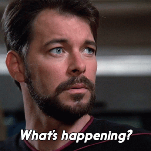 Whats Happening William Riker GIF - Whats Happening William Riker Star Trek GIFs