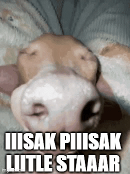 Isak Singing GIF - Isak Singing Sleep GIFs