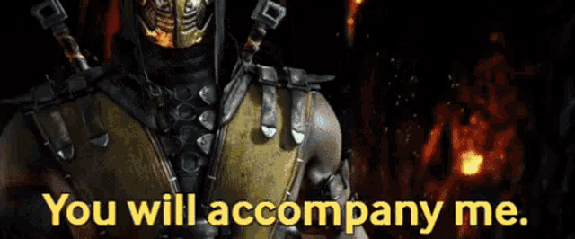 a picture of a video game character with the words " you will accompany me "