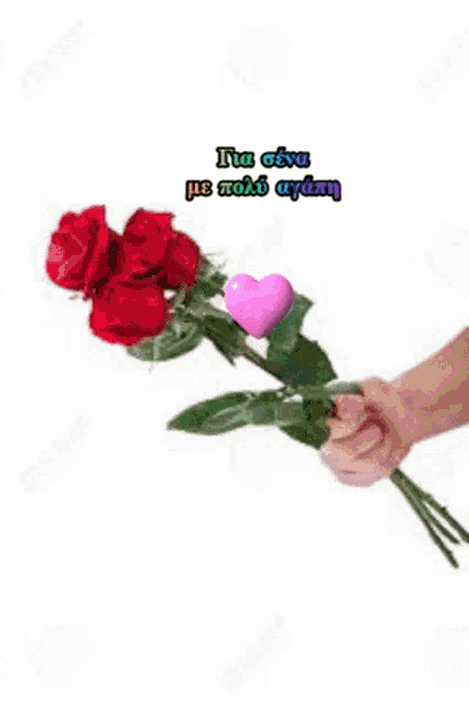 a person is holding a bouquet of red roses with a pink heart on it .