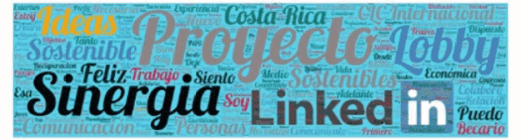 a blue banner with the word sinergia linked in at the top