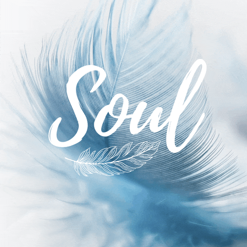 the word soul is on a blue feather