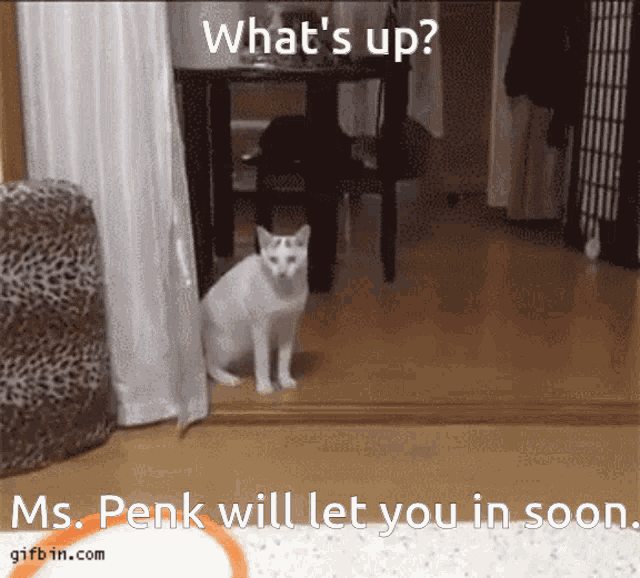 Ms Penk Will Let You In Soon GIF
