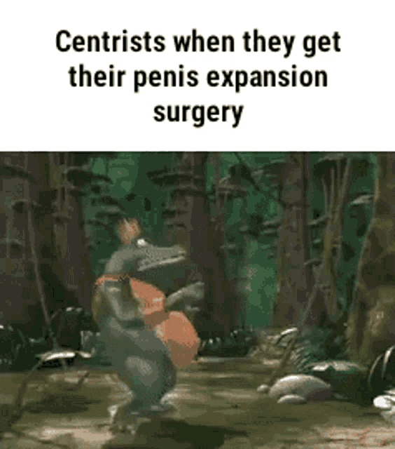 Big Chungus Centrists When They Get Their Penis Expansion Surgery GIF - Big Chungus Centrists When They Get Their Penis Expansion Surgery Funny GIFs
