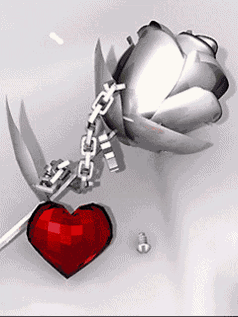 a silver rose chained to a red heart
