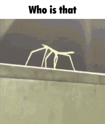 a stick insect is walking across a ledge with the words `` who is that '' written above it .