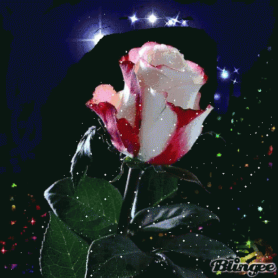 Rose Glitter GIF - Rose Glitter Beautiful GIFs