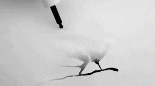 Birds Painting Ink GIF - Birds Painting Ink Art GIFs