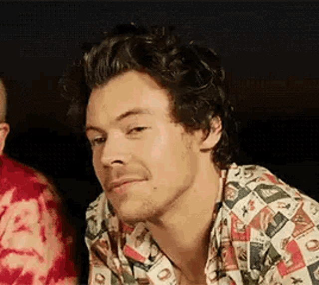 harry styles is wearing a colorful shirt and smiling while sitting next to a man .