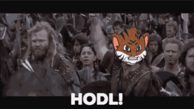 a cartoon of a cat with the word hodl on the bottom right