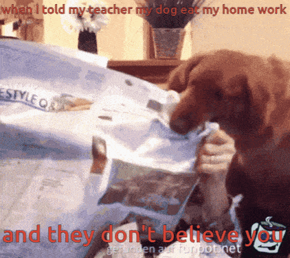 a dog eating a piece of paper with the words when i told my teacher my dog