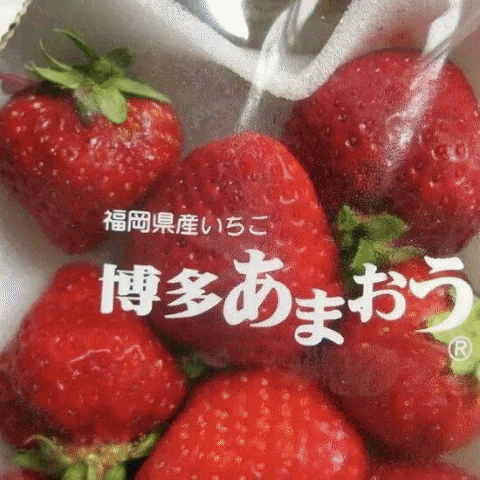 strawberries in a plastic bag with chinese writing on it