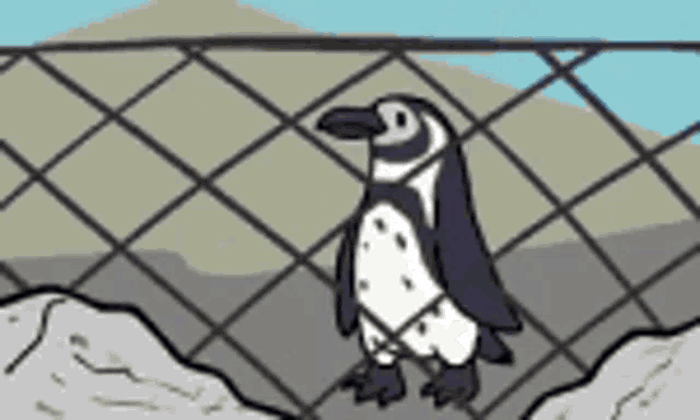 a penguin is standing on top of a rock in a cage .