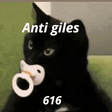 a black cat is holding a pacifier in its mouth and says anti giles 616