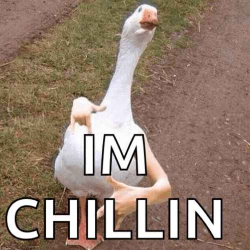 a picture of a goose with a hand on its feet and the words im chillin below it