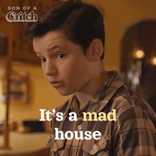 Its A Mad House Mark Critch GIF - Its A Mad House Mark Critch Son Of A Critch GIFs