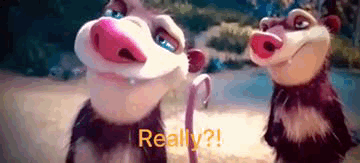 Really Ice Age GIF - Really Ice Age Echt Jetzt GIFs