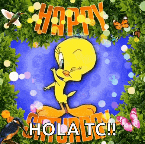 a picture of tweety dancing with the words `` happy hola tc '' .