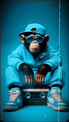 a monkey wearing a hat and sunglasses is sitting on a boombox .