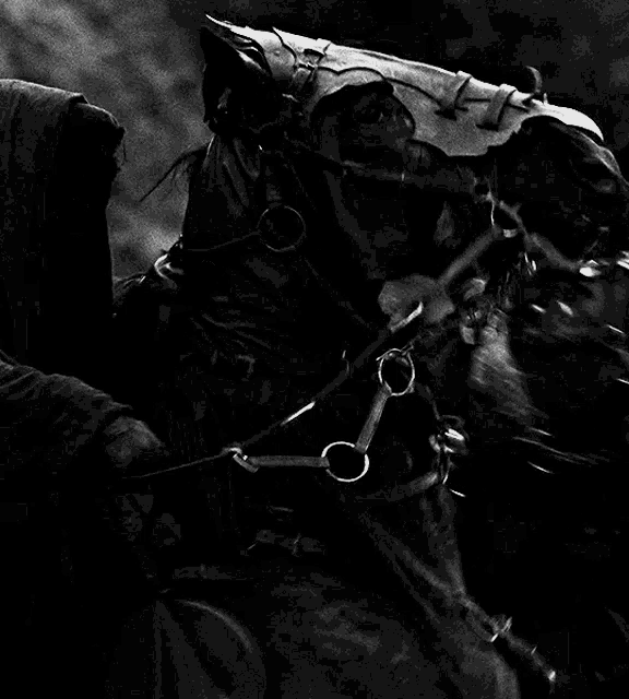 Lord Of The Rings Horse GIF - Lord Of The Rings Horse Nazgul GIFs