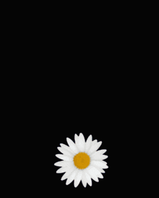 a blue background with the word ayza and a white flower