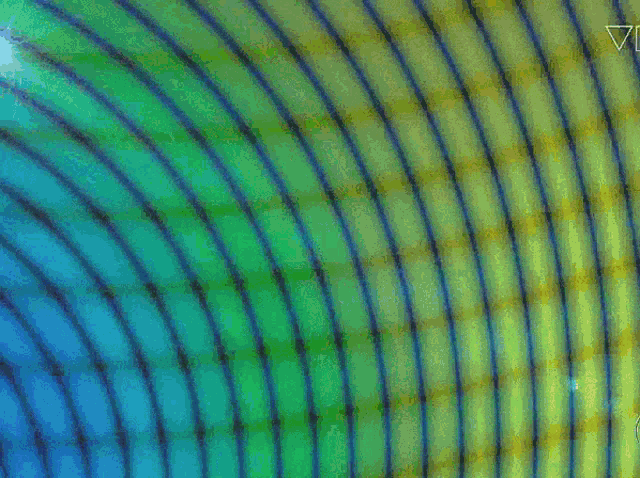 a blue and green circle with the letter v on the bottom right