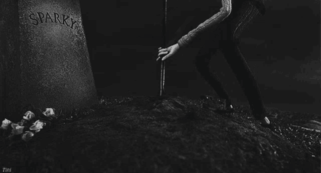 a black and white photo of a gravestone that says goodbye kitty on it