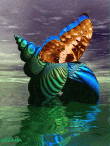 Butterfly Snail GIF - Butterfly Snail Water GIFs