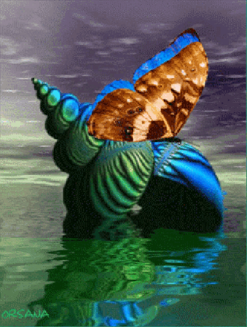 a painting of a butterfly sitting on a sea shell in the water