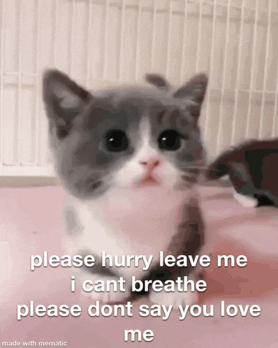 Please Hurry Leave Me Mitski GIF