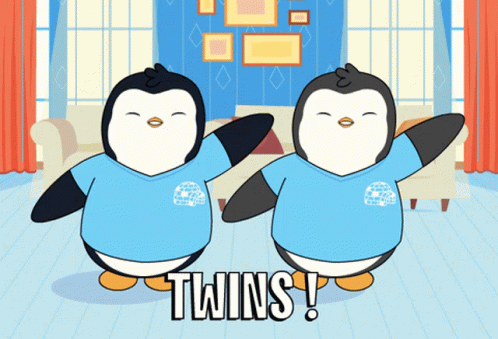 Penguin Twins GIF - Penguin Twins Brother GIFs