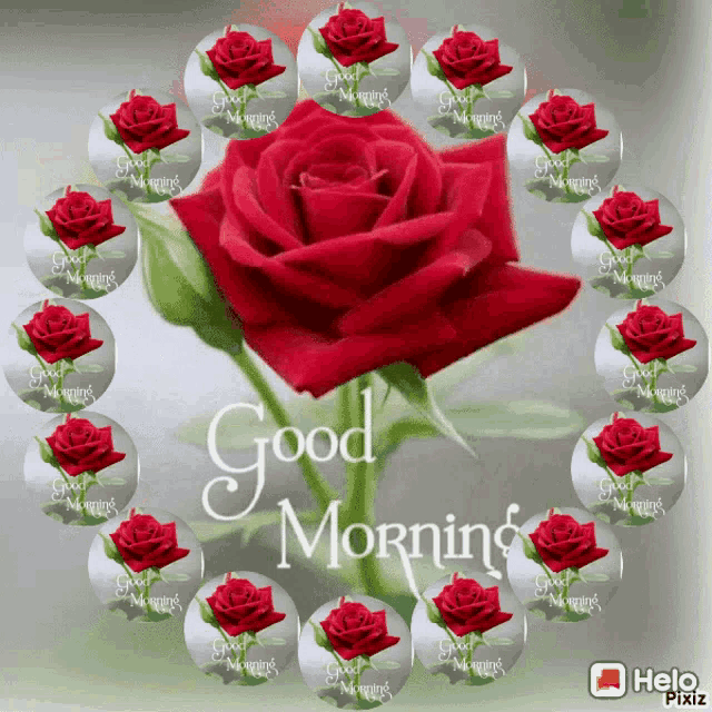 a circle of red roses with the words good morning on the bottom