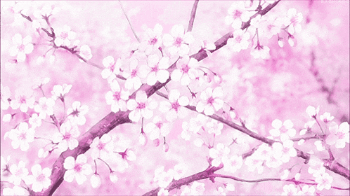 a painting of a cherry blossom tree with pink and white flowers