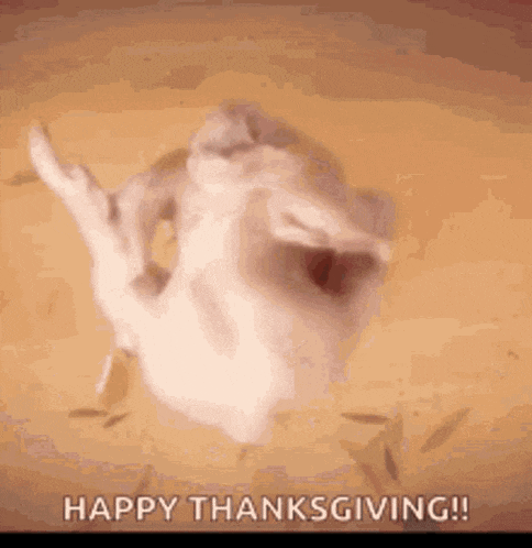 a cat is flying in the air with its mouth open and the words `` happy thanksgiving '' written below it .