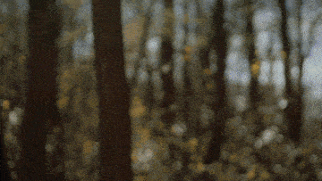 a blurred image of a person with the words passe les bornes freezer below them