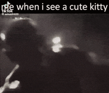 Me When I See A Cute Kitty Cute Aggression GIF - Me When I See A Cute Kitty Cute Aggression GIFs