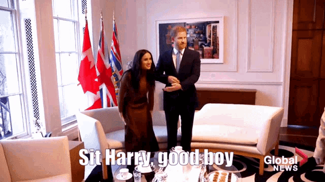 a man and a woman shaking hands in a room with the words sit harry good boy below them