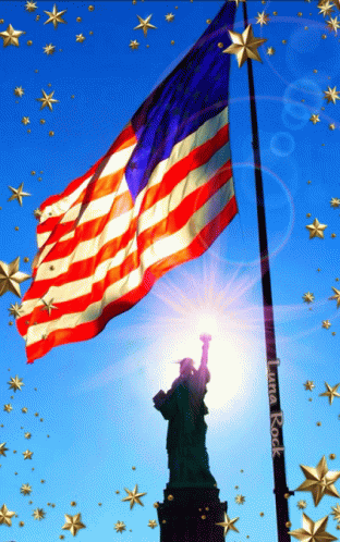 America American Flag GIF - America American Flag Freedom GIFs