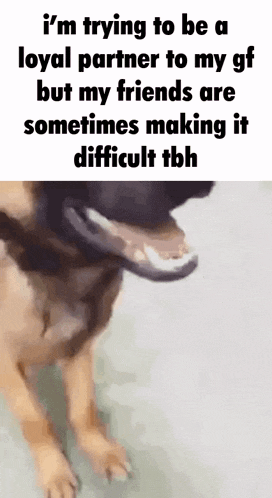 Maddy Gf GIF