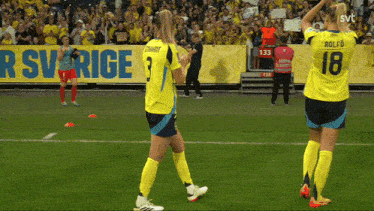 two soccer players on a field with a banner that says sverige on it