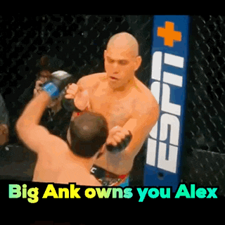 a man in a boxing ring with the words big ank owns you alex on the bottom