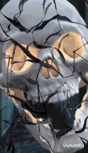 a close up of a skull with black ribbons around it and the word vivavideo at the bottom